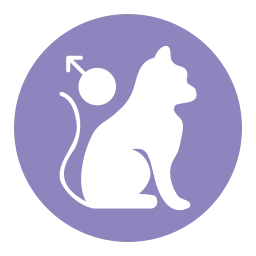 Avatar of Vocabulary Set Erkek ve Dişi Hayvanlar