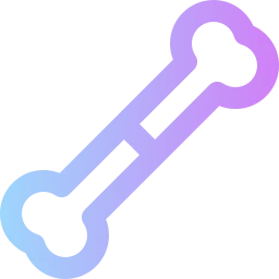 Avatar of Vocabulary Set Hayvan Anatomisi (Memeliler)