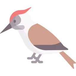 Avatar of Vocabulary Set Uçan Kuşlar