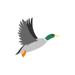 Avatar of Vocabulary Set Su Kuşları