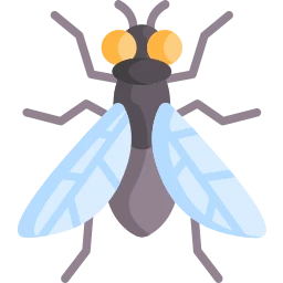 Avatar of Vocabulary Set Sinekler ve Sivrisinekler