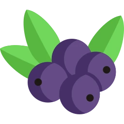 Avatar of Vocabulary Set Beerenfrüchte