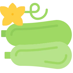 Avatar of Vocabulary Set Nachtschattengewächse und Markgemüse