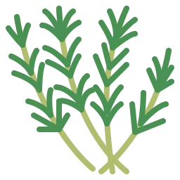 Avatar of Vocabulary Set Kräuter