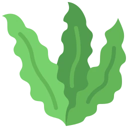 Avatar of Vocabulary Set Pilze, Pilzarten und Algen