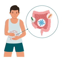 Avatar of Vocabulary Set 胃腸道疾病與問題