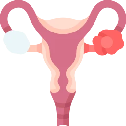 Avatar of Vocabulary Set 生殖系統疾病與問題