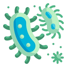 Avatar of Vocabulary Set 與健康和疾病相關的一般名詞
