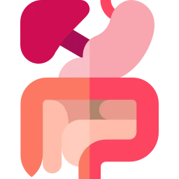 Avatar of Vocabulary Set İç Organlarla İlgili Tıp Dalları