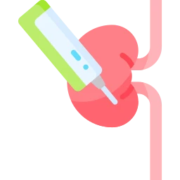 Avatar of Vocabulary Set Böbrek Testi