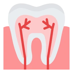 Avatar of Vocabulary Set Diş Hekimliği
