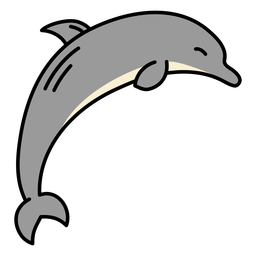 "dolphin" picture