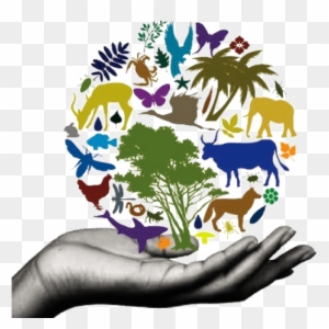 "biodiversity" picture