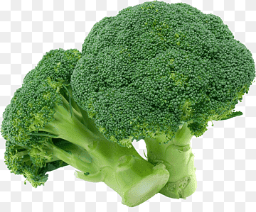 "broccoli" picture