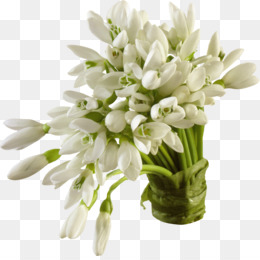 "tuberose" picture
