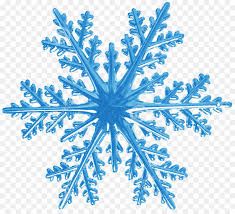 "snowflake" picture