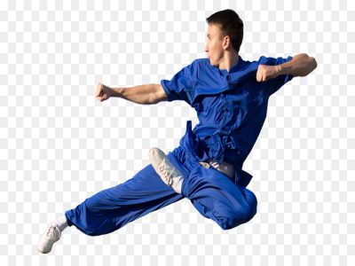 "wushu" picture