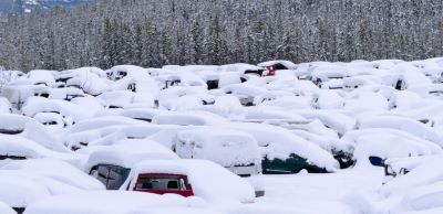 "blizzard" picture