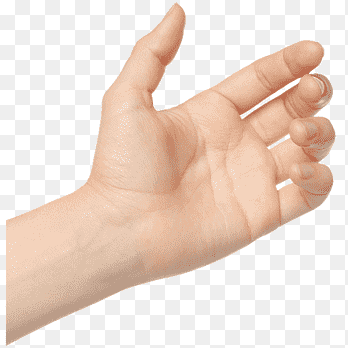 "wrist" picture