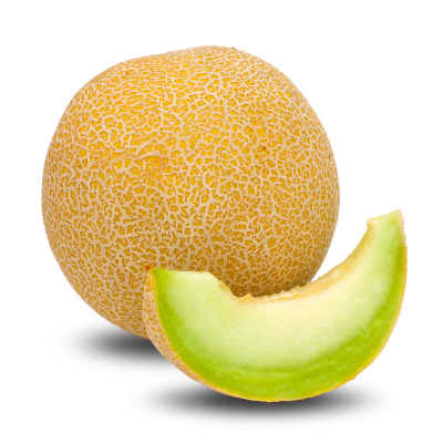 "melon" picture