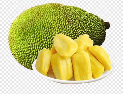 "jackfruit" picture