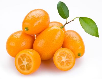 "kumquat" picture