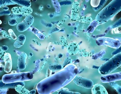 "bacteria" picture