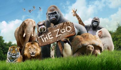 "zoo" picture