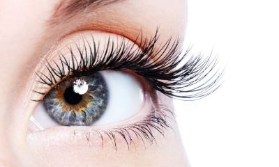 "eyelash" picture