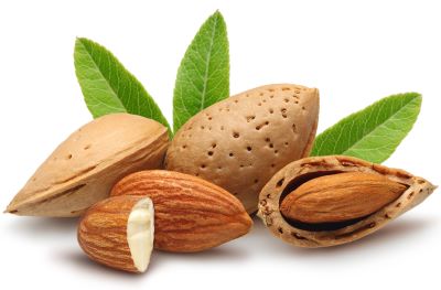 "nut" picture