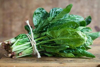 "spinach" picture