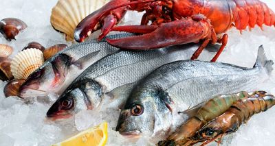 "seafood" picture
