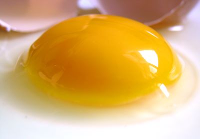 "yolk" picture