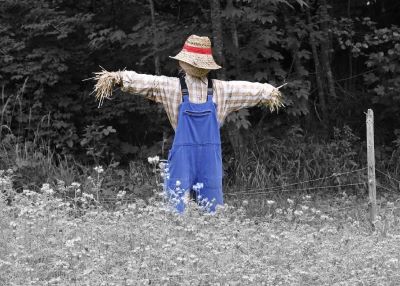 "scarecrow" picture