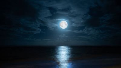 "moonlight" picture