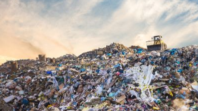 "landfill" picture