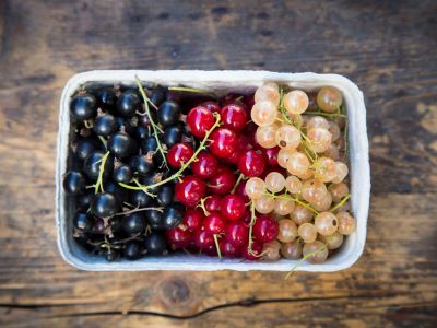 "currant" picture