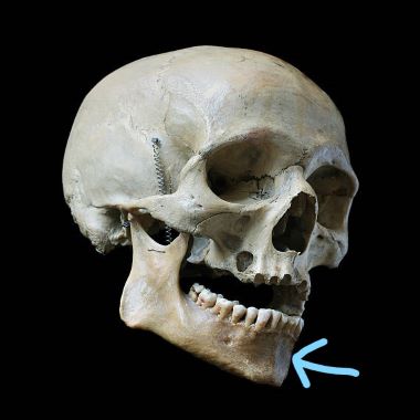 "jawbone" picture