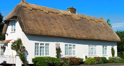 "thatched" picture