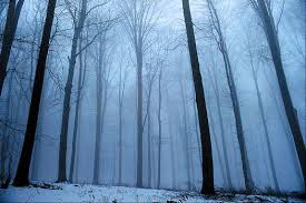 "midwinter" picture