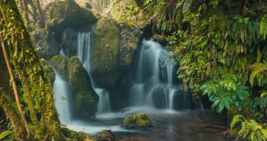"ecotourism" picture