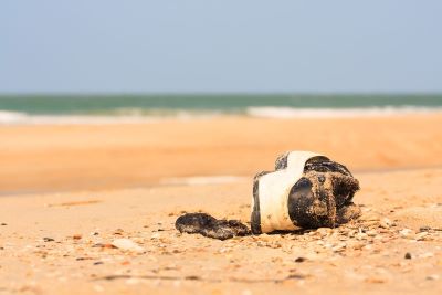 "ashore" picture