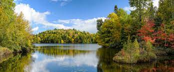 "freshwater" picture