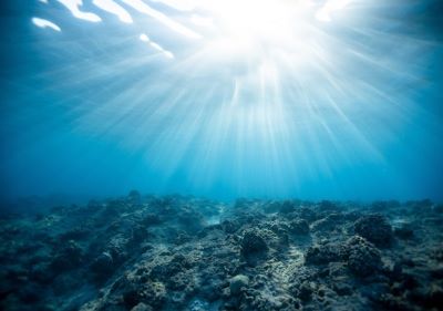 "seabed" picture