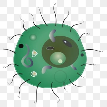 "parasite" picture