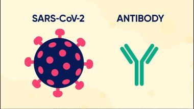 "antibody" picture