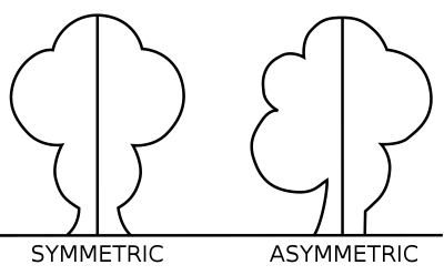 "asymmetric" picture