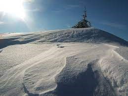 "snowdrift" picture