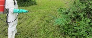 "herbicide" picture