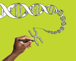 "genome" picture